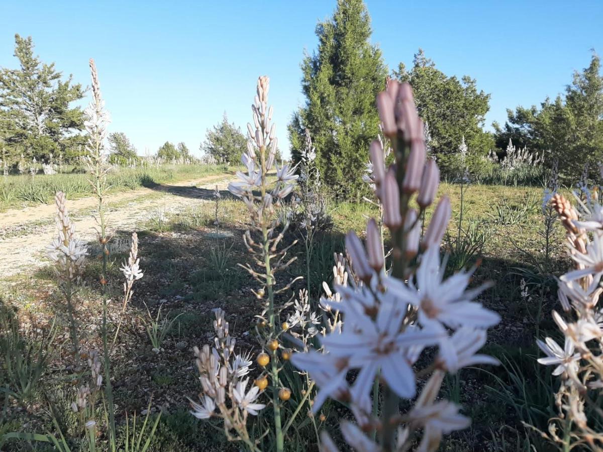 Casa Rural Sierra Del Solorio Iruecha ภายนอก รูปภาพ